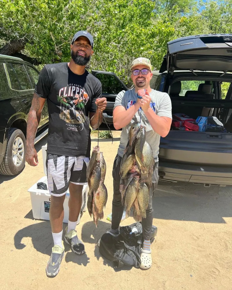 医疗专家的 医疗专家的